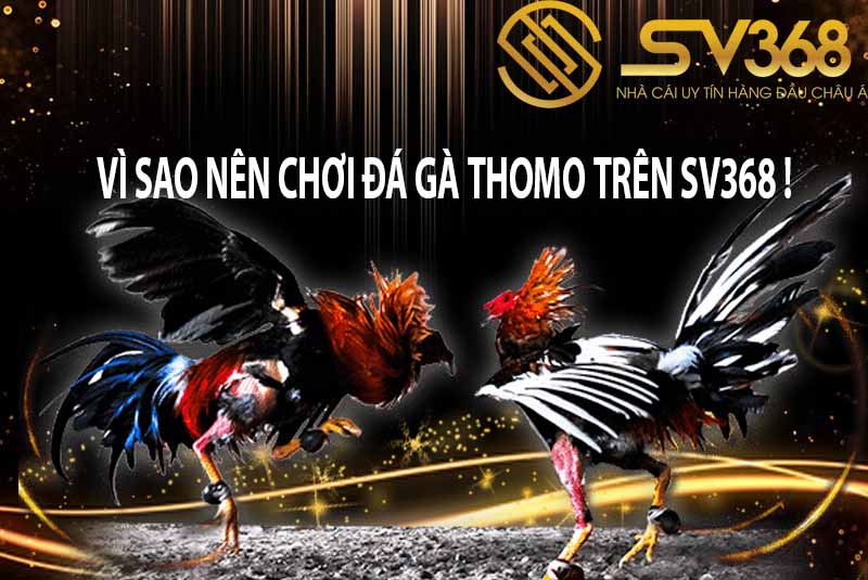 đá gà sv368