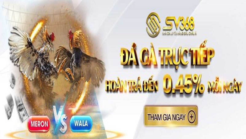 đánh giá sv368