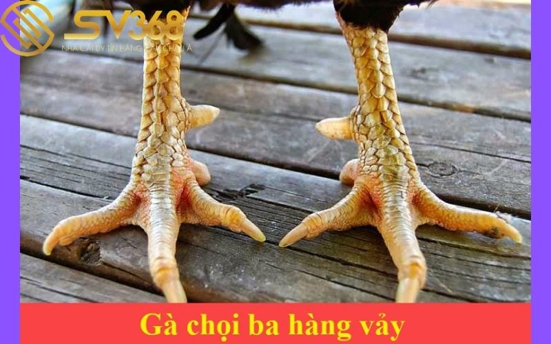 vay-ga-choi-doc