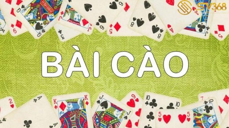 cac-loai-bai-o-viet-nam