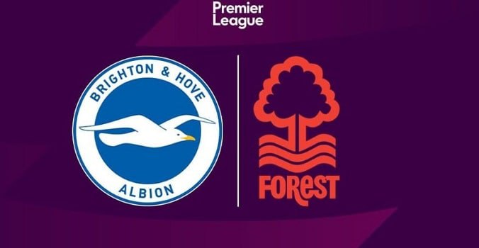 Brighton vs Nottingham